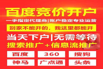 行业领先企业的SEM代运营成功之路
